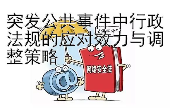 突发公共事件中行政法规的应对效力与调整策略