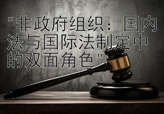 非政府组织：国内法与国际法制定中的双面角色