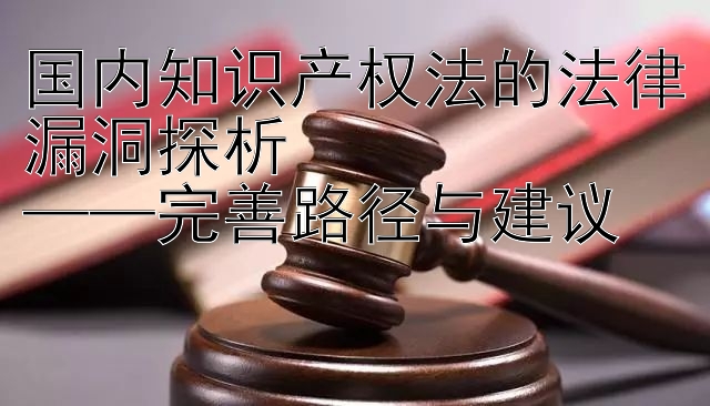 国内知识产权法的法律漏洞探析  
——完善路径与建议