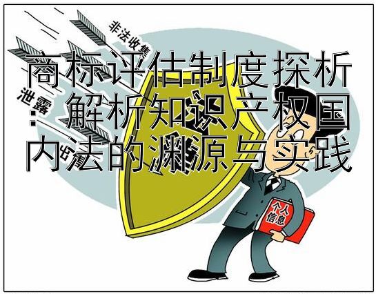 商标评估制度探析：解析知识产权国内法的渊源与实践