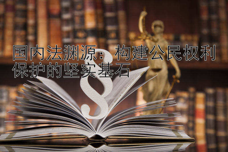 国内法渊源：构建公民权利保护的坚实基石