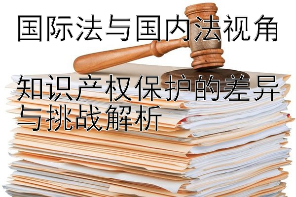 国际法与国内法视角  
知识产权保护的差异与挑战解析